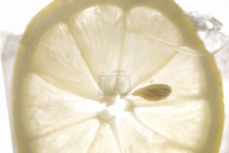 Téléchargez les photos : Tranche de citron en verre avec de l'eau et de la glace - en image libre de droit
