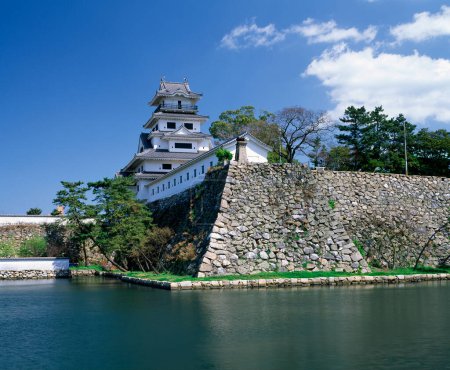 hermosa vista del castillo de Imabari en Japón