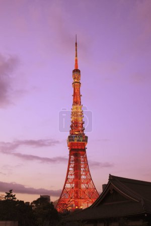 Téléchargez les photos : Tour de Tokyo au Japon en arrière-plan du soir - en image libre de droit