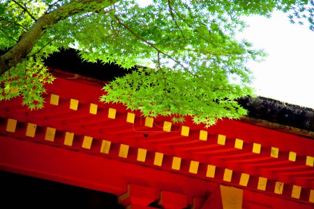 Téléchargez les photos : Façade rouge de l'architecture asiatique et branches d'arbres verts - en image libre de droit