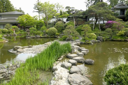 Téléchargez les photos : Jardin japonais traditionnel avec plantes vertes et étang - en image libre de droit