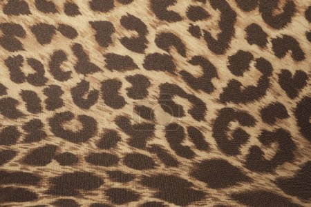 Photo for Fabric texture of leopard print - Royalty Free Image