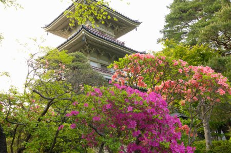 Téléchargez les photos : Jardin japonais traditionnel avec plantes vertes et pagode - en image libre de droit