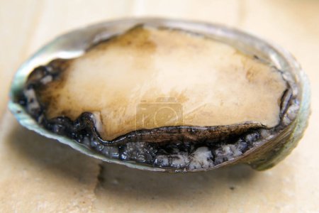 Foto de Filete de abalón al horno, molusco gasterópodo marino, mariscos - Imagen libre de derechos