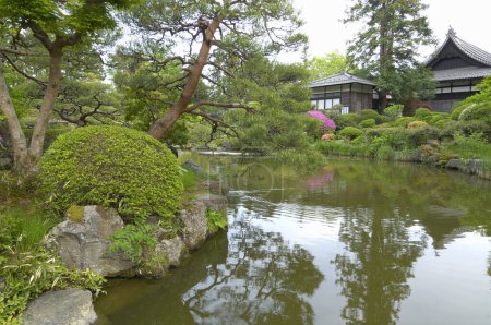 Téléchargez les photos : Jardin japonais traditionnel avec plantes vertes et étang - en image libre de droit