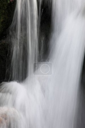 Téléchargez les photos : Chute d'eau en cascade dans la forêt - en image libre de droit