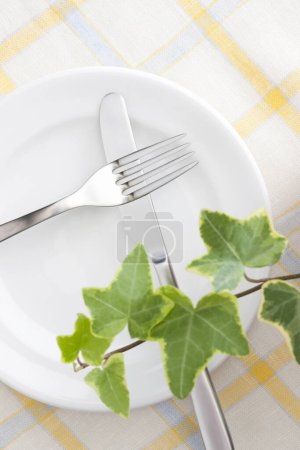 Foto de Tenedor y cuchillo en plato blanco. Planta de hiedra sobre la mesa - Imagen libre de derechos