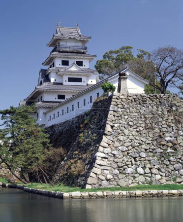 belle vue sur le château d'Imabari au Japon