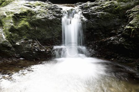 Photo for Waterfall in summer forest - Royalty Free Image