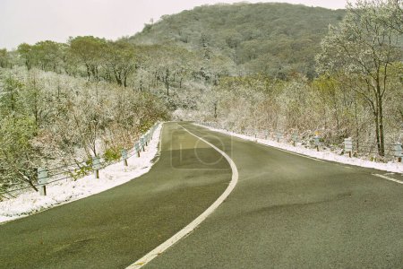 Téléchargez les photos : Route sinueuse avec arbres et neige au sol - en image libre de droit