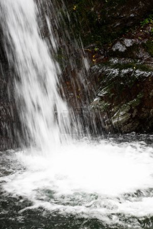 Téléchargez les photos : Belle cascade dans la forêt - en image libre de droit