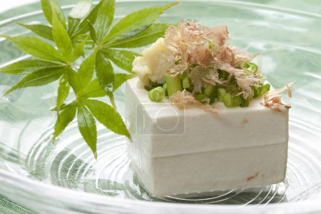 Foto de Cocina japonesa. delicioso tofu con ingredientes - Imagen libre de derechos