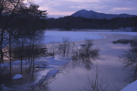 Téléchargez les photos : Paysage hivernal avec arbres enneigés et rivière - en image libre de droit