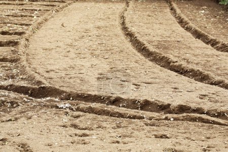Photo for Tractor tracks in dirt - Royalty Free Image