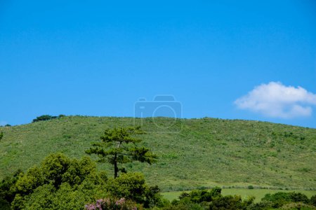 Téléchargez les photos : Paysage estival pittoresque avec collines verdoyantes et ciel bleu par une journée ensoleillée - en image libre de droit