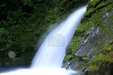 Photo for Beautiful small waterfall and green moss on stones, close up view - Royalty Free Image