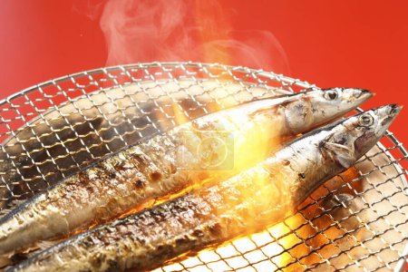 Grilled Saury on charcoal  , close up