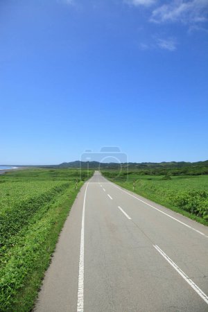 Photo for Asphalt road in countryside with beautiful landscape and blue sky - Royalty Free Image