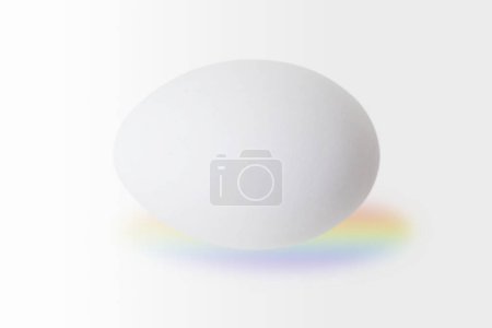 Photo for Egg on white background - Royalty Free Image