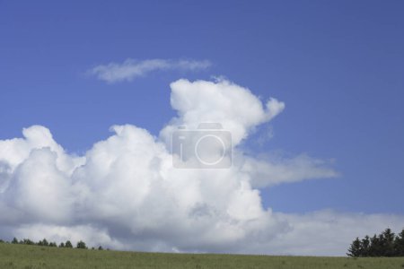 Foto de Hermosa vista del campo verde con árboles y cielo azul en verano - Imagen libre de derechos