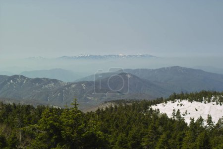 Téléchargez les photos : Vue sur une chaîne de montagnes avec forêt à feuilles persistantes - en image libre de droit