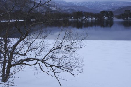 Téléchargez les photos : Beau paysage hivernal avec des arbres et un lac dans les montagnes - en image libre de droit