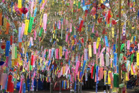Téléchargez les photos : Décorations et souhaits sur des bandes de papier suspendues pendant Tanabata ou festival des étoiles - en image libre de droit