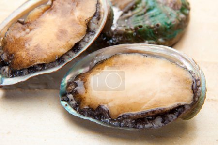 baked Abalone Steaks, marine gastropod mollusc, seafood