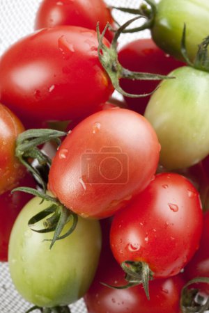Téléchargez les photos : Un bouquet de tomates fraîches - en image libre de droit