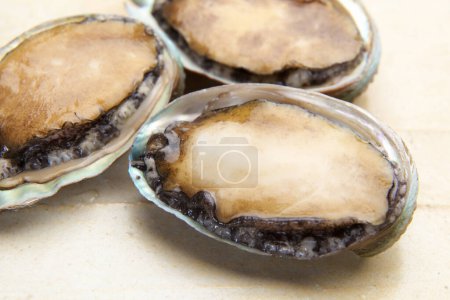 Photo for Baked Abalone Steaks, marine gastropod mollusc, seafood - Royalty Free Image