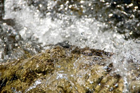 Téléchargez les photos : Vue rapprochée de l'eau qui coule dans un ruisseau rapide - en image libre de droit