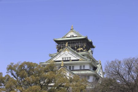 Téléchargez les photos : Beau château d'Osaka au Japon - en image libre de droit