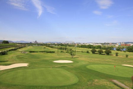 Téléchargez les photos : Terrain de golf avec herbe verte - en image libre de droit
