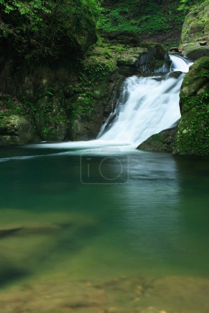 Téléchargez les photos : Une cascade dans une forêt avec une eau verte - en image libre de droit