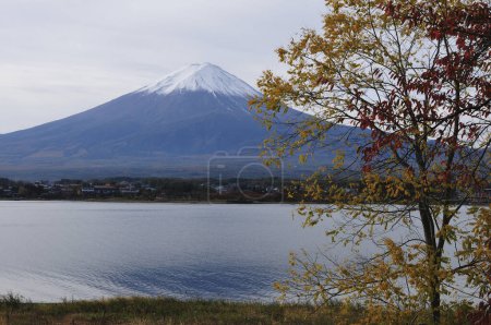 Photo for The beautiful Fuji mountain in Japan - Royalty Free Image