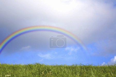 Téléchargez les photos : Arc-en-ciel dans une prairie - en image libre de droit