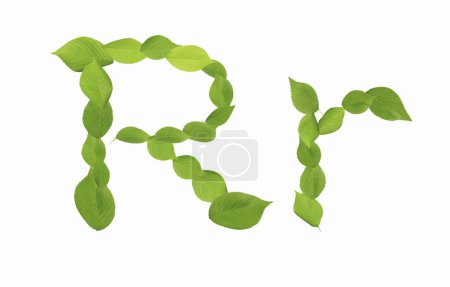 R letter made of green leaves isolated on white background    