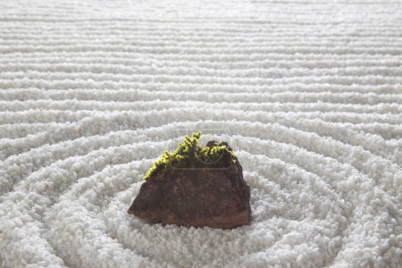 Téléchargez les photos : Motif abstrait d'ondes de gravier zen et mousse verte - en image libre de droit