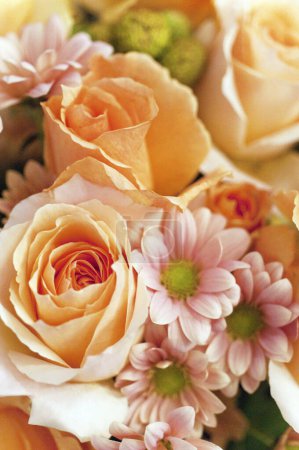 Téléchargez les photos : Vue rapprochée d'un beau bouquet de fleurs tendres - en image libre de droit