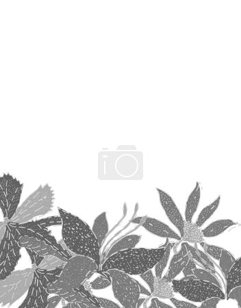Foto de Hermoso fondo abstracto en blanco y negro con elementos florales decorativos - Imagen libre de derechos
