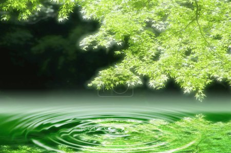 Foto de Árboles verdes con fondo de ondas de agua - Imagen libre de derechos