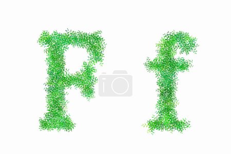 Blütengrüne Buchstaben auf weißem Hintergrund, Buchstabe F