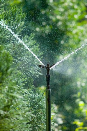 Photo for Sprinkler watering a lawn on nature background - Royalty Free Image