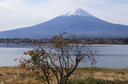 Téléchargez les photos : La belle montagne Fuji au Japon - en image libre de droit