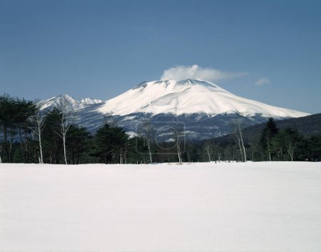 Foto de Una montaña cubierta de nieve con árboles sobre fondo natural - Imagen libre de derechos