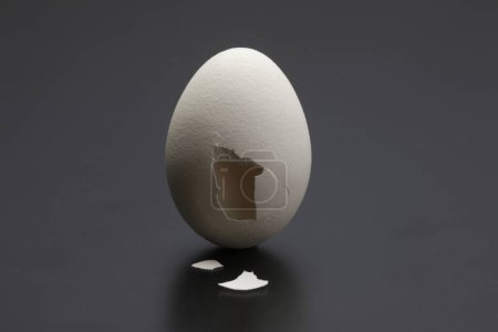 Photo for Broken egg on a dark background. 3 d illustration - Royalty Free Image