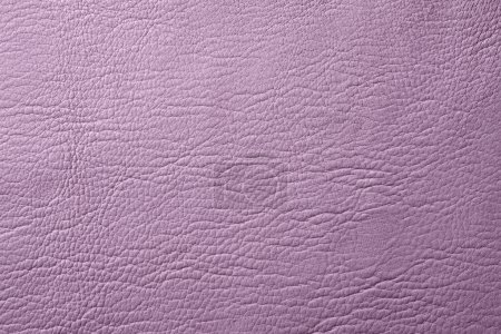 Photo for Leather texture background, natural material - Royalty Free Image