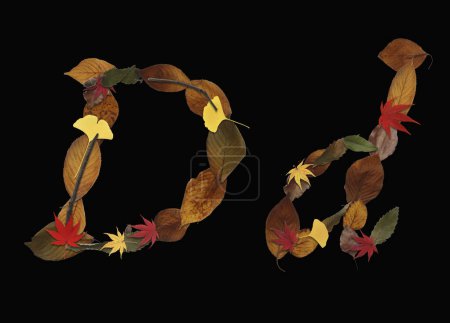 Téléchargez les photos : Alphabet composé de feuilles d'automne isolées sur fond noir. Lettre D - en image libre de droit