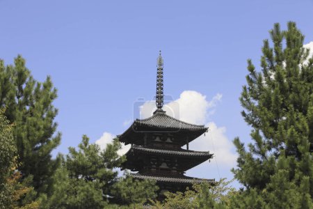 hermoso templo de Horyu. Arquitectura tradicional japonesa 