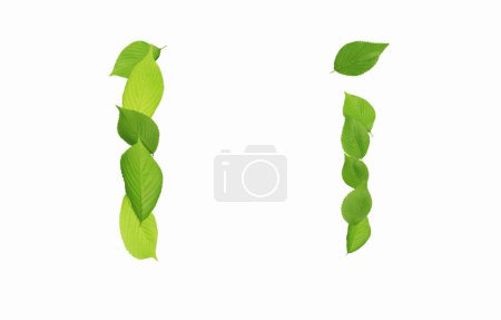 Téléchargez les photos : I lettre faite de feuilles vertes isolées sur fond blanc - en image libre de droit